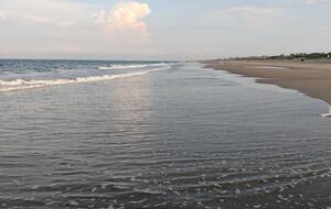 Ocean Views and Wild Horses | A Secluded Corolla Retreat - Corolla, North Carolina