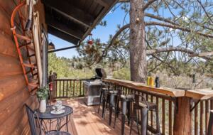 Elegant Mountain Lodge on Big Bear’s North Shore - Fawnskin, California