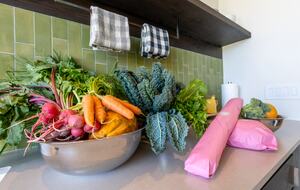 Flora Farms - The Lofts at Flora - Studio - San Jose del Cabo, Mexico