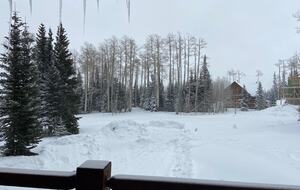 Ski-In/Ski-Out Retreat Nestled Among Pines and Aspens - Brian Head, Utah