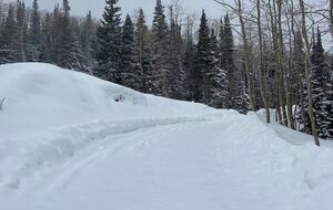 Ski-In/Ski-Out Retreat Nestled Among Pines and Aspens - Brian Head, Utah