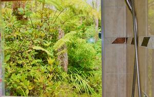 Rainforest Haven Near Volcano National Park - Volcano, Hawaii