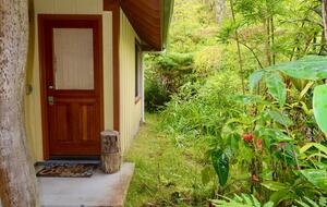 Rainforest Haven Near Volcano National Park - Volcano, Hawaii