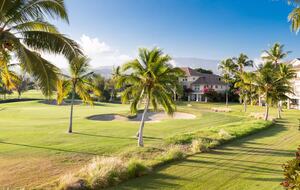 Tranquil luxuriously remodeled condo near Waikoloa Beach - Waikoloa, Hawaii