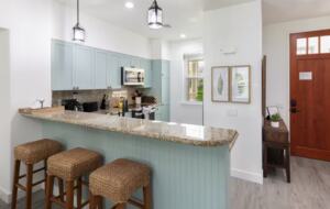 Tranquil luxuriously remodeled condo near Waikoloa Beach - Waikoloa, Hawaii