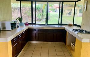 Kitchen with garden view