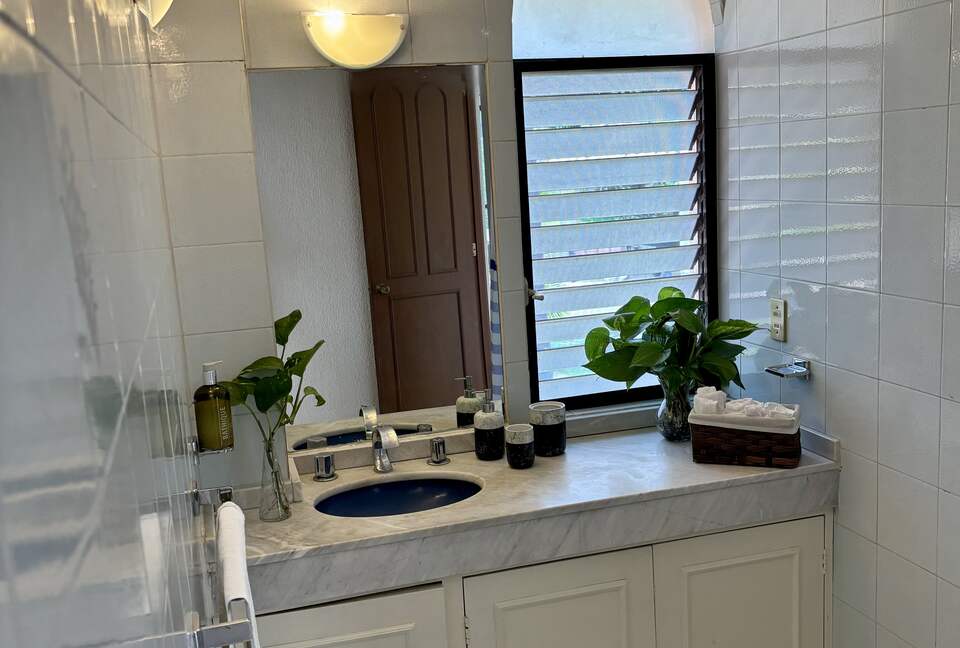 Master bathroom