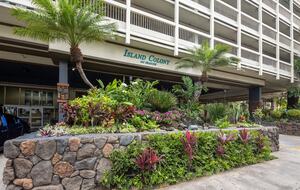 Modern Waikiki Studio with Mountain & Canal Views - Honolulu, Hawaii