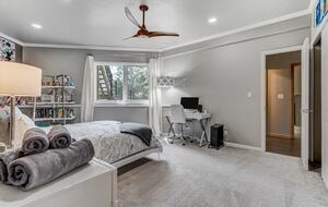 Mountain Light & Modern Design in Monument - Monument, Colorado