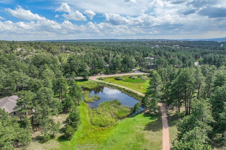 Mountain Light & Modern Design in Monument - Monument, Colorado