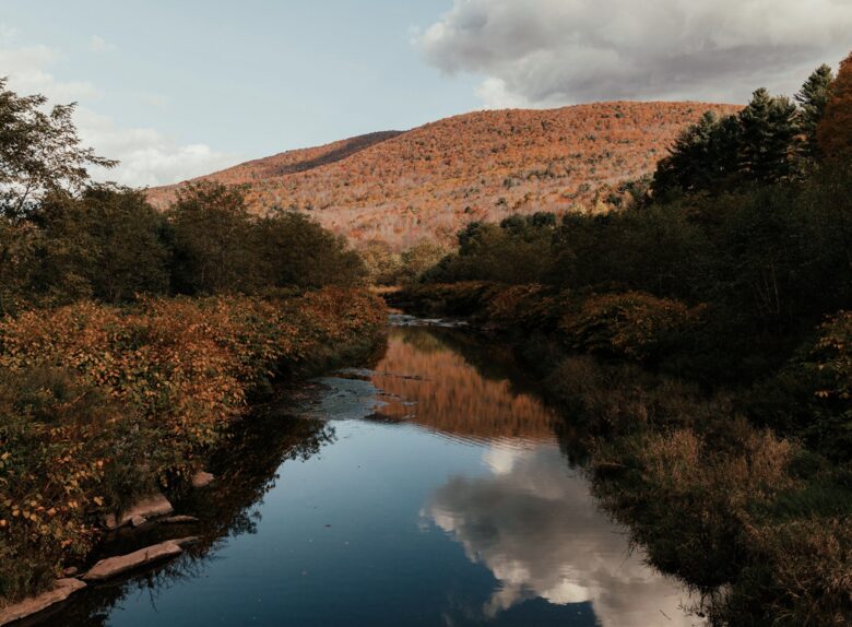 King Room at The Perch Hotel - East Windham, New York