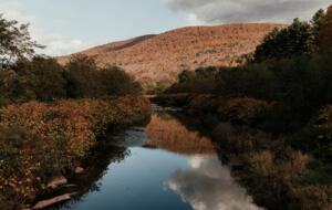 King Room at The Perch Hotel - East Windham, New York