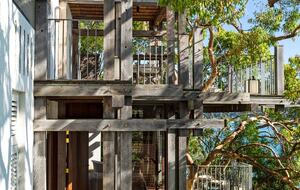 Gaelforce - Palm Beach, Australia