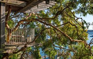 Gaelforce - Palm Beach, Australia