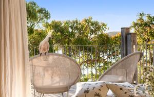 Gaelforce - Palm Beach, Australia