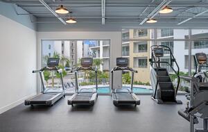 Waterside Serenity at The Strand - Sarasota, Florida