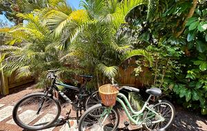 Sunny Sarasota Retreat Near Beaches & Downtown - Sarasota, Florida