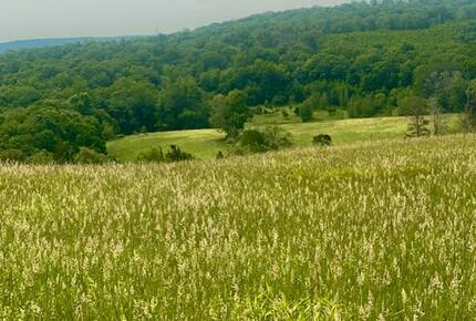 Charming Guest House on a 200/Acre Gated Estate - Middletown, Connecticut