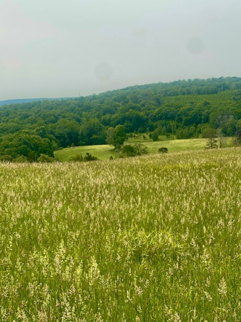 Charming Guest House on a 200/Acre Gated Estate - Middletown, Connecticut