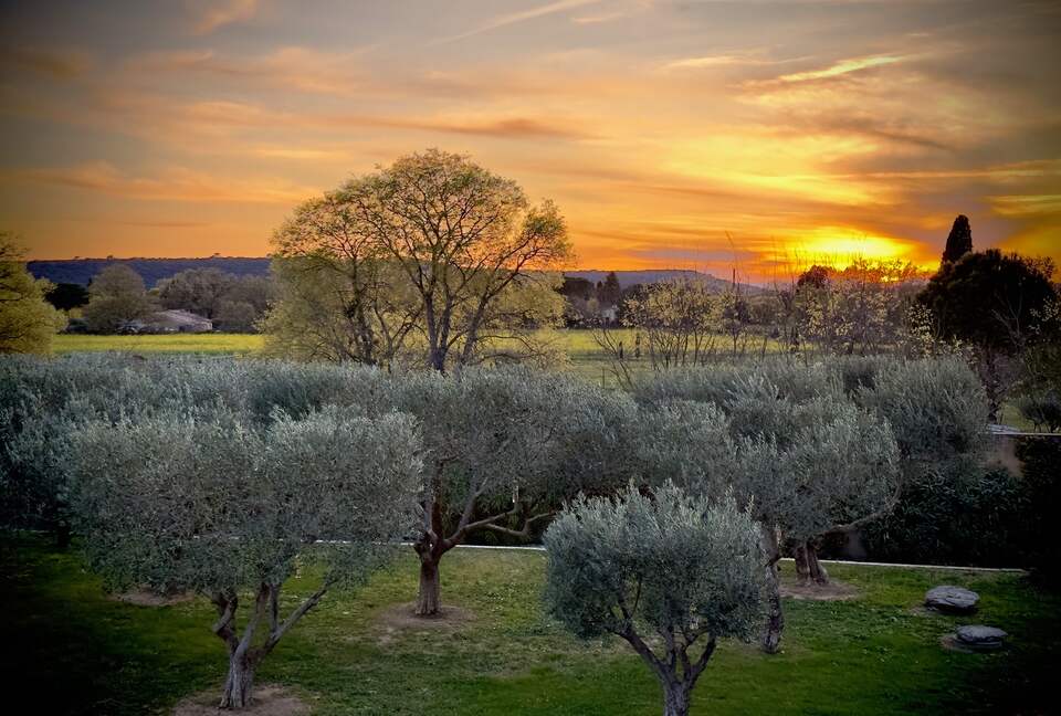 Olivette | French Countryside Estate - Uzès, France