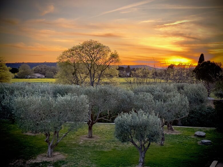 Olivette | French Countryside Estate - Uzès, France