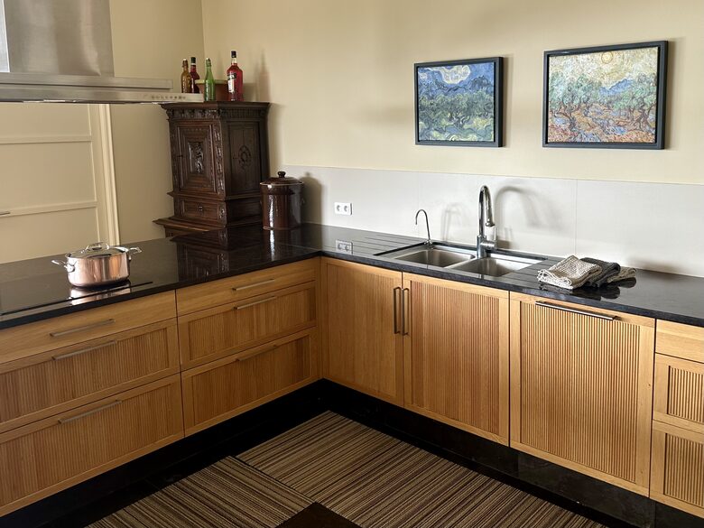 Main Upper: Kitchen, dishwasher, induction top, exhaust hood