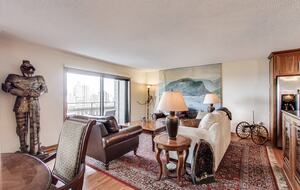 Elegant Minneapolis City Retreat - Minneapolis, Minnesota