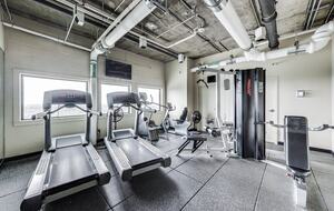 Elegant Minneapolis City Retreat - Minneapolis, Minnesota