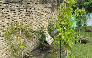 2 Rock Cottage - Maugersbury, United Kingdom