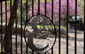 Lakefront Serenity in Konocti Bay - Kelseyville, California
