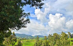 A Refined Mountain Haven in the Andes - San Pedro de los Milagros, Colombia