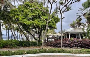 Charming Tropical Escape with Ocean or Pool Views - Palm Cove, Australia