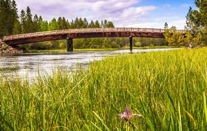 Elegant Escape Under the Pines - Sunriver, Oregon