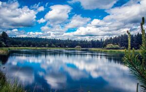 Elegant Escape Under the Pines - Sunriver, Oregon