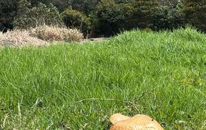 Charming Countryside Retreat Near Guasca - Guasca, Colombia