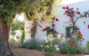 Masseria Annabella - Carovigno, Italy