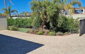 Algarve Waterfront Villa with pool - Faro, Portugal