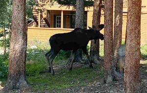 Breckenridge Lodge with Game Room & Hot Tub - Breckenridge, Colorado