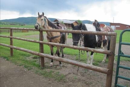 Luxury Log Ranch with Hot Tub, Sauna & Horse Facilities near Steamboat - Steamboat Springs, Colorado