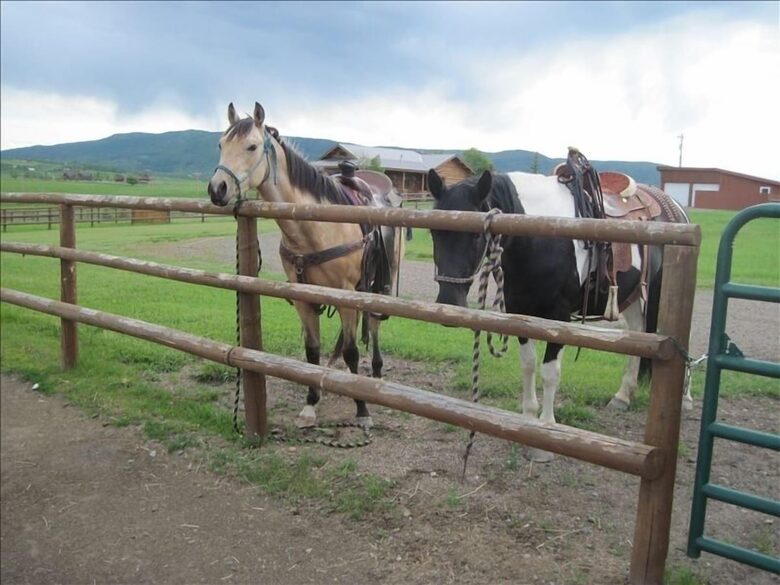Luxury Log Ranch with Hot Tub, Sauna & Horse Facilities near Steamboat - Steamboat Springs, Colorado