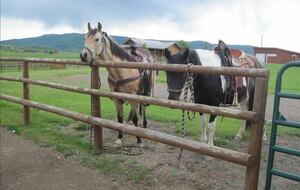 Luxury Log Ranch with Hot Tub, Sauna & Horse Facilities near Steamboat - Steamboat Springs, Colorado
