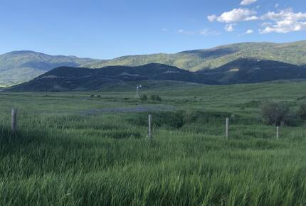 Luxury Log Ranch with Hot Tub, Sauna & Horse Facilities near Steamboat - Steamboat Springs, Colorado