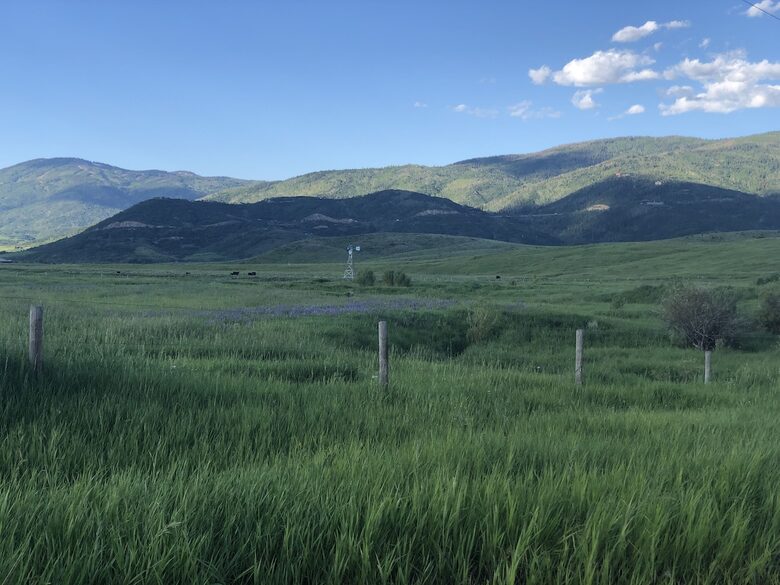 Luxury Log Ranch with Hot Tub, Sauna & Horse Facilities near Steamboat - Steamboat Springs, Colorado