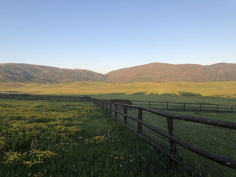 Luxury Log Ranch with Hot Tub, Sauna & Horse Facilities near Steamboat - Steamboat Springs, Colorado