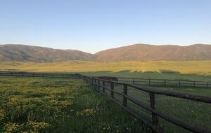 Luxury Log Ranch with Hot Tub, Sauna & Horse Facilities near Steamboat - Steamboat Springs, Colorado