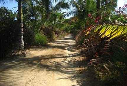 Rancho Danza del Sol, 25-Acre Villa - Todos Santos, Mexico