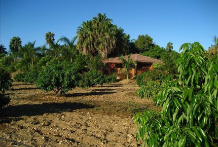 Rancho Danza del Sol, 25-Acre Villa - Todos Santos, Mexico