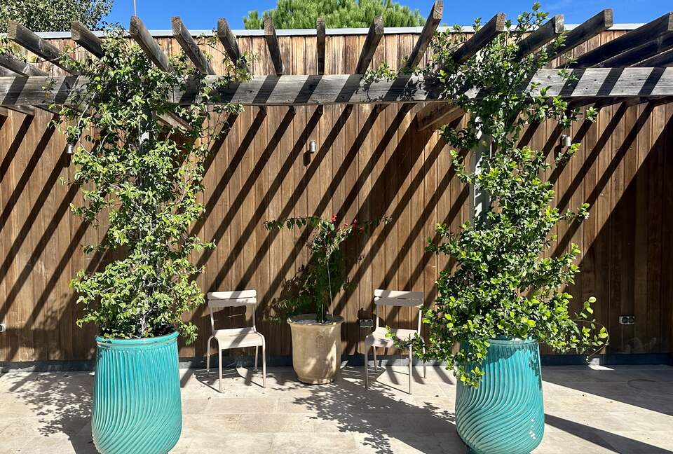 Olivette | French Countryside Estate - Uzès, France