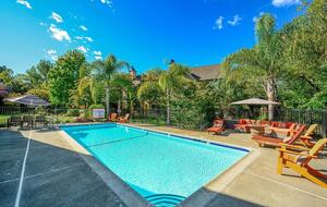 Serene Elegance in the Heart of Healdsburg - Healdsburg, California