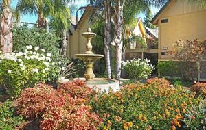 Serene Elegance in the Heart of Healdsburg - Healdsburg, California